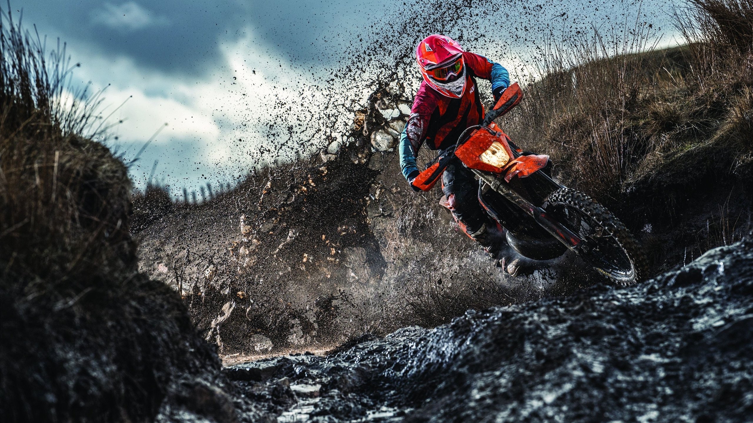 IM体育-范弗利特末节封神！雄鹿团队篮球完胜雷霆，揭示争冠新密码